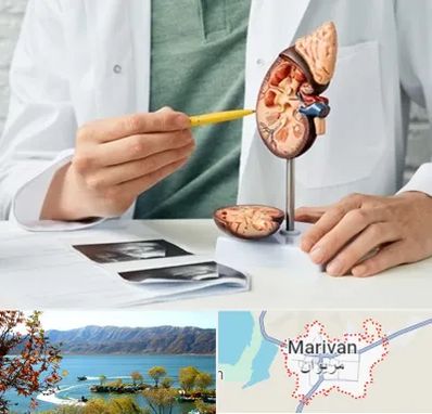 دکتر اورولوژیست در مریوان