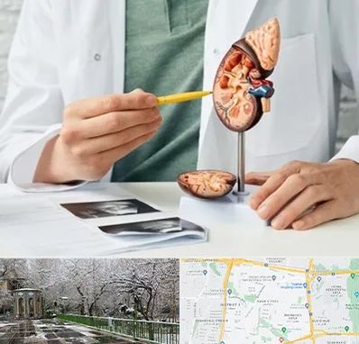 دکتر اورولوژیست در باغ فیض 