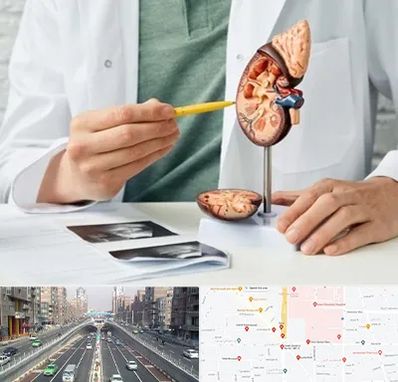 دکتر اورولوژیست در توحید 