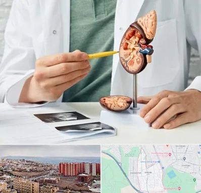 دکتر اورولوژیست در سهند تبریز