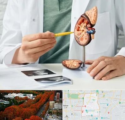 دکتر اورولوژیست در منطقه 6 تهران 