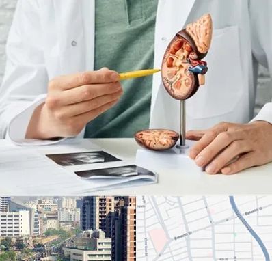 دکتر اورولوژیست در خیابان بهشتی