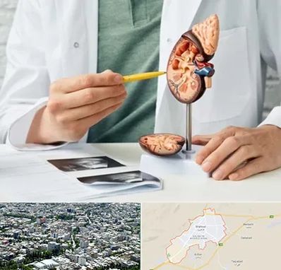 دکتر اورولوژیست در شاهرود