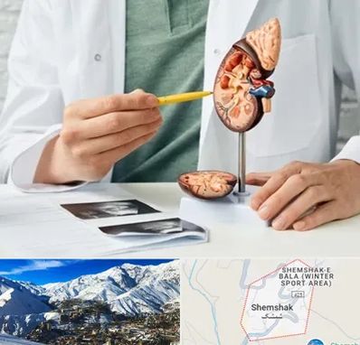 دکتر اورولوژیست در شمشک