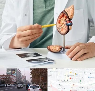 دکتر اورولوژیست در کارگر شمالی 