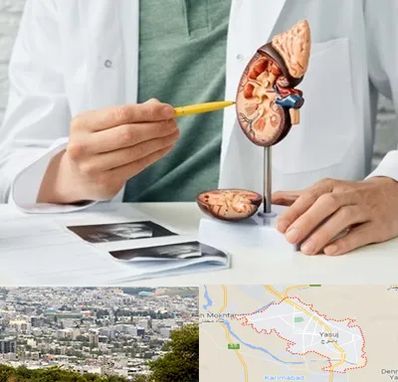 دکتر اورولوژیست در یاسوج