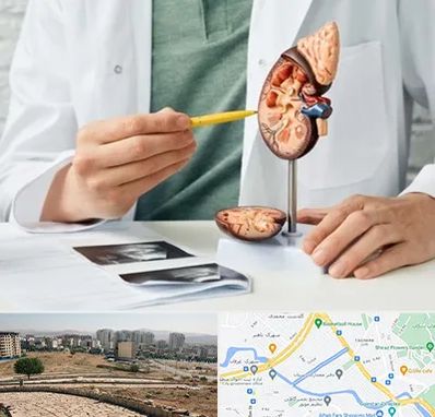 دکتر اورولوژیست در کوی وحدت شیراز 
