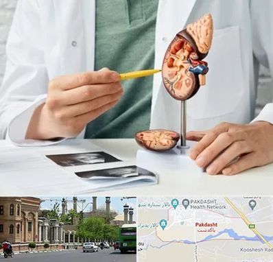 دکتر اورولوژیست در پاکدشت