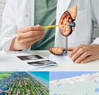 دکتر اورولوژیست در فریدونکنار