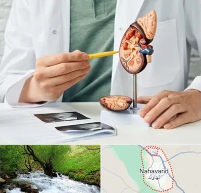 دکتر اورولوژیست در نهاوند