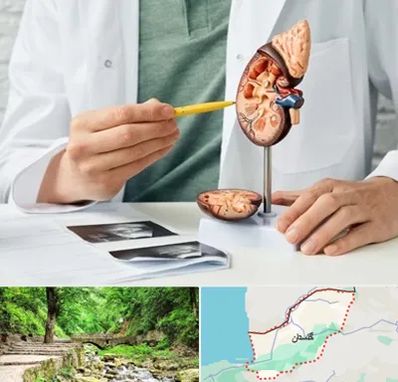 دکتر اورولوژیست در گلستان