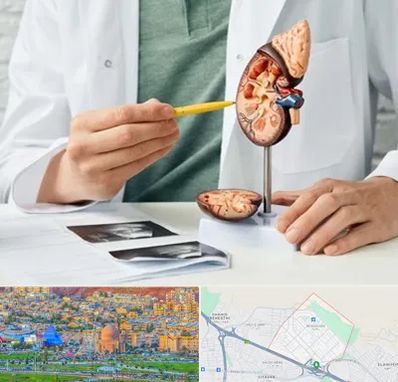 دکتر اورولوژیست در رشدیه تبریز