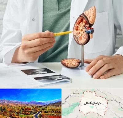 دکتر اورولوژیست در خراسان شمالی