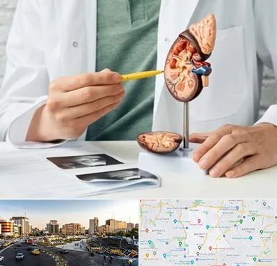 دکتر اورولوژیست در منطقه 7 تهران 