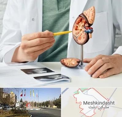 دکتر اورولوژیست در مشکین دشت