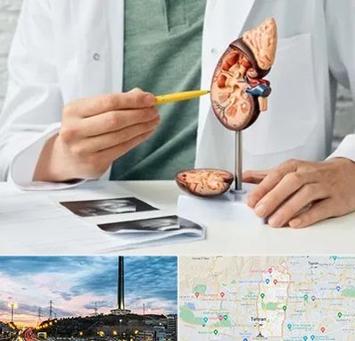 دکتر اورولوژیست در منطقه 2 تهران 