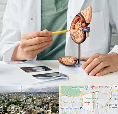 دکتر اورولوژیست در گیشا 