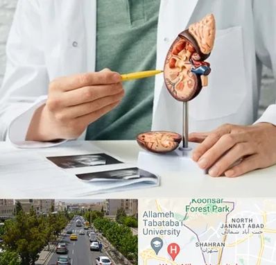 دکتر اورولوژیست در شهران 