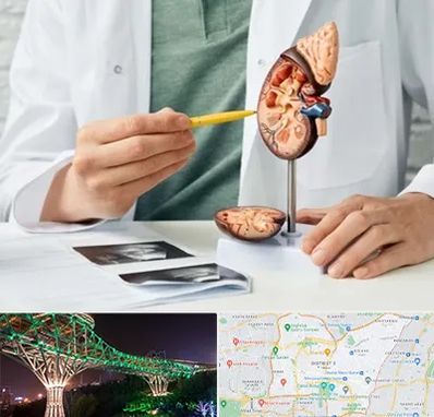 دکتر اورولوژیست در منطقه 3 تهران 