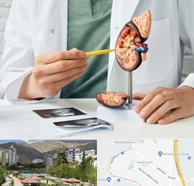 دکتر اورولوژیست در شهر زیبا 