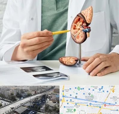 دکتر اورولوژیست در فرجام 