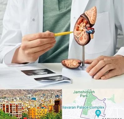 دکتر اورولوژیست در نیاوران 