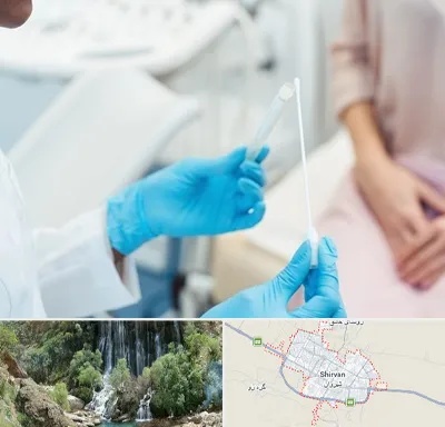 دکتر زگیل تناسلی HPV در شیروان