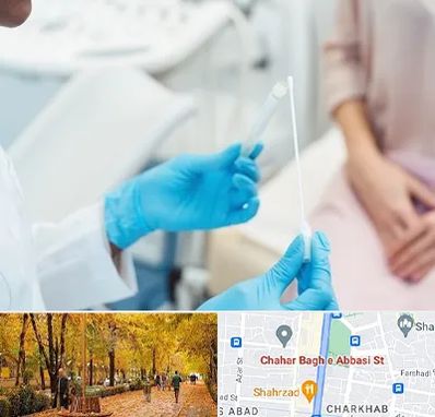 دکتر زگیل تناسلی HPV در چهارباغ اصفهان 