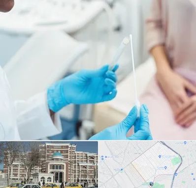 دکتر زگیل تناسلی HPV در طلاب مشهد