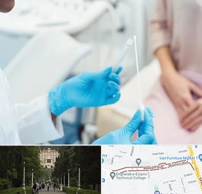 دکتر زگیل تناسلی HPV در بلوار معلم رشت 