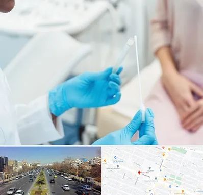 دکتر زگیل تناسلی HPV در بلوار معلم مشهد 