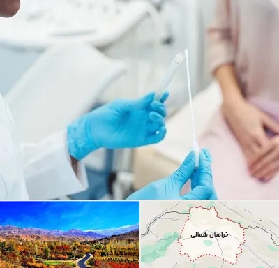 دکتر زگیل تناسلی HPV در خراسان شمالی