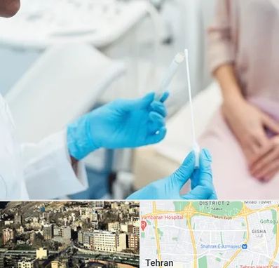 دکتر زگیل تناسلی HPV در مرزداران 