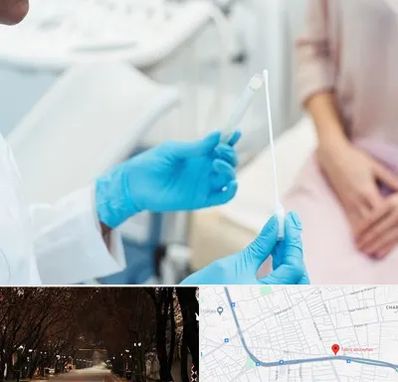 دکتر زگیل تناسلی HPV در ابوریحان تبریز