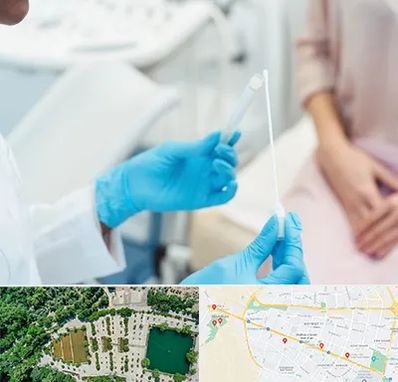 دکتر زگیل تناسلی HPV در وکیل آباد مشهد 