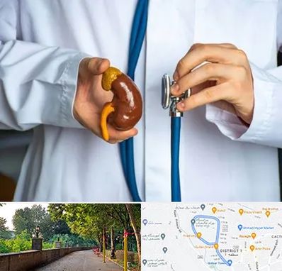 دکتر سرطان کلیه در بلوار گیلان رشت 