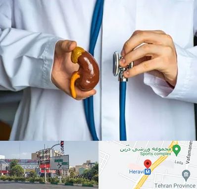 دکتر سرطان کلیه در هروی 