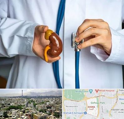 دکتر سرطان کلیه در گیشا 