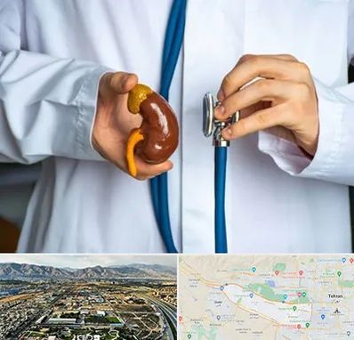 دکتر سرطان کلیه در منطقه 21 تهران 