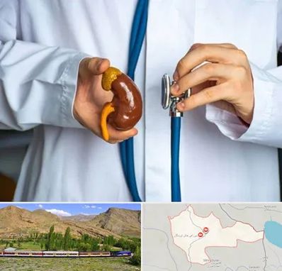 دکتر سرطان کلیه در خاش