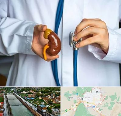 دکتر سرطان کلیه در مراغه