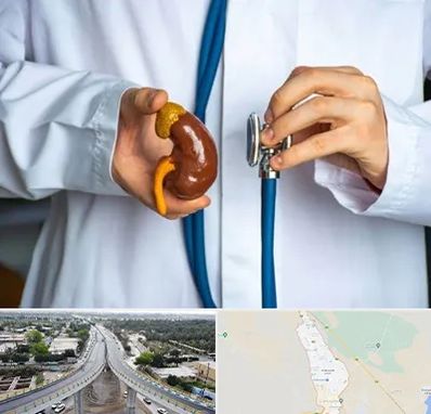 دکتر سرطان کلیه در اندیمشک