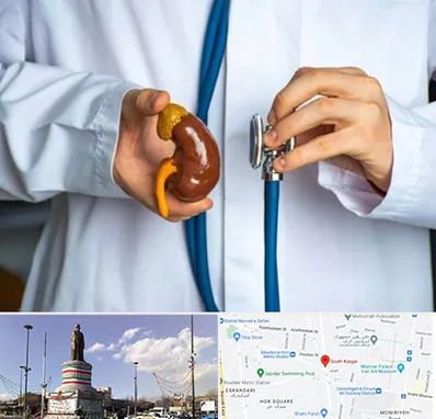 دکتر سرطان کلیه در کارگر جنوبی 