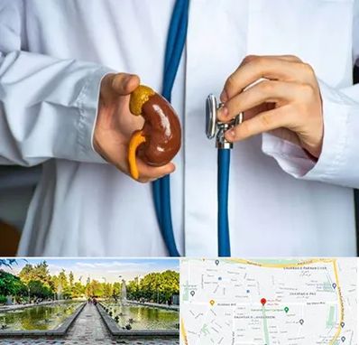 دکتر سرطان کلیه در سرسبز 