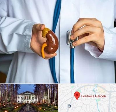 دکتر سرطان کلیه در باغ فردوس
