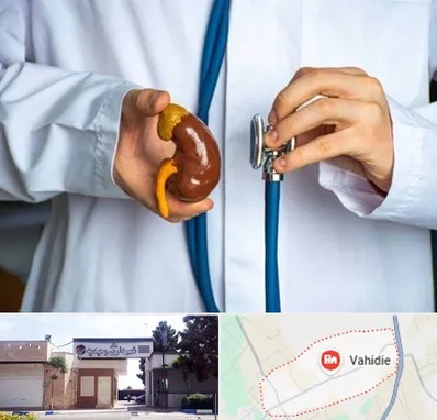 دکتر سرطان کلیه در وحیدیه شهریار