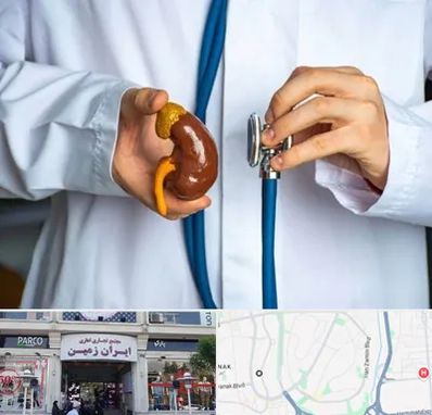 دکتر سرطان کلیه در ایران زمین