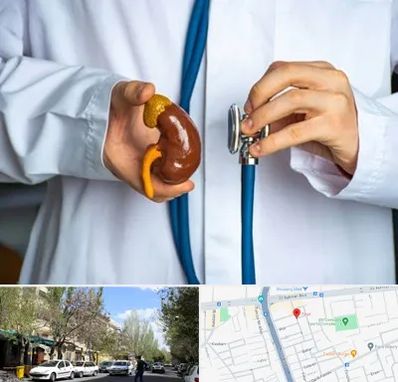 دکتر سرطان کلیه در کوی فیروز تبریز