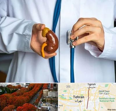 دکتر سرطان کلیه در ولیعصر 