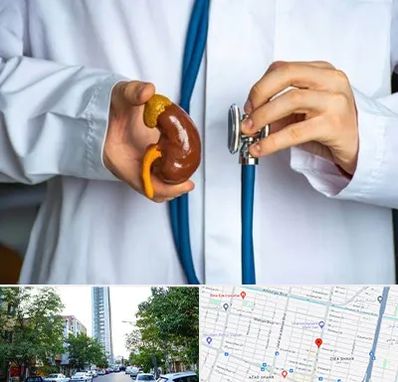 دکتر سرطان کلیه در امامت مشهد 